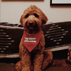 Meet your Posher, Andrea